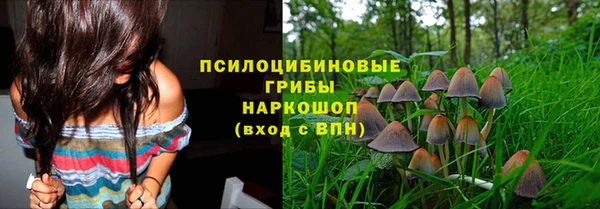 круглые Богородицк